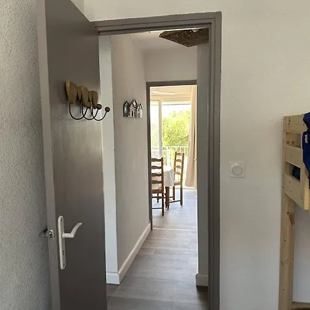 Vue Les Pieds Dans L'eau T3 Box Internet St Pierre La Apartment *